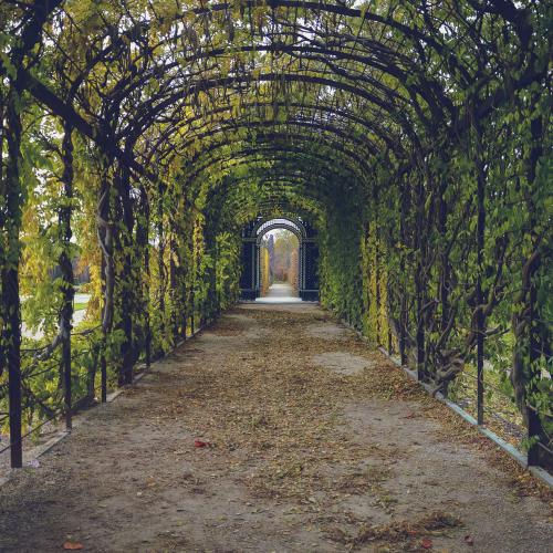 Michael Lemke Immobilien Berlin